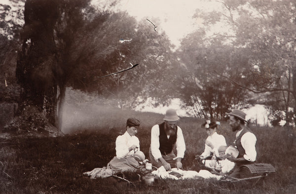 A brief (political) history of Australian picnics