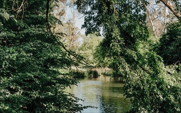 The Spaces Between the Noise