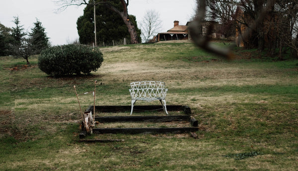 Garden Dreams – A Photo Journal