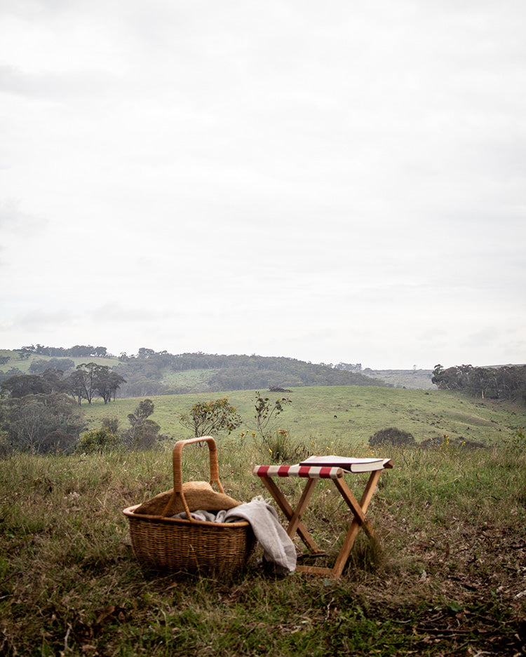 The Hidden Landscape with Julianne Ross Allcorn – May 2024