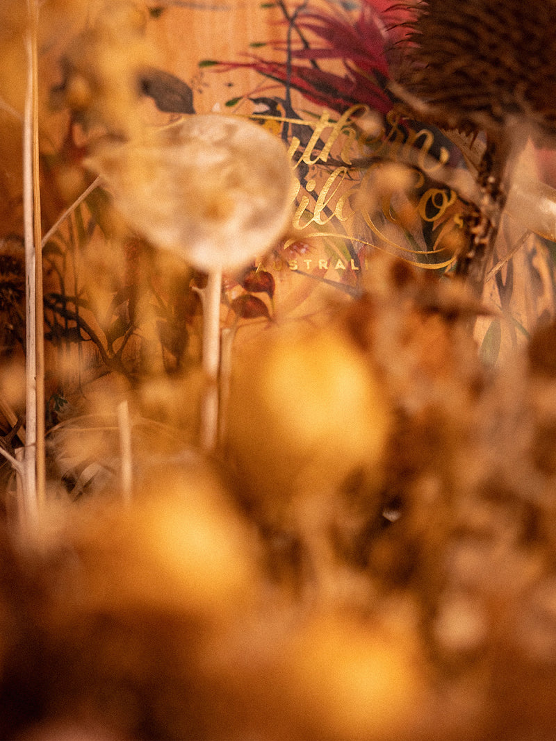 A dreamy close-up of dried native flora framing the Bush Magic Room Mist packaging, celebrating the wild and precious poetry of the bush.