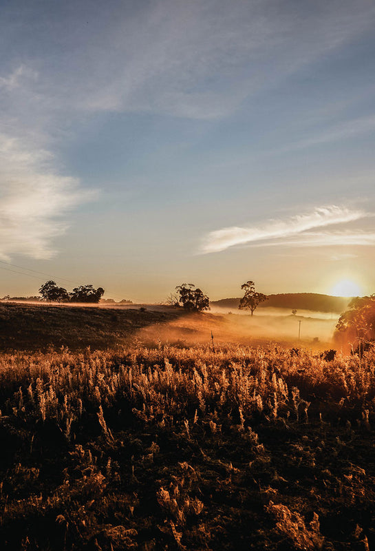 An image of a beautiful sunrise in the Australian countryside at Southern Wild Co