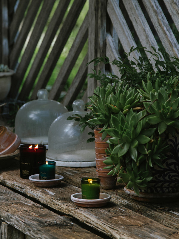 Trio of Southern Wild Co candles – Hidden Vale, Ocean Isle, and Bush Magic – lit outdoors on a rustic timber bench surrounded by lush green succulents – artisan Australian candles inspired by nature.