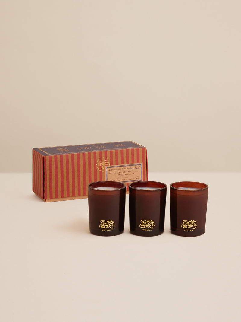 Magic Pudding Art Box