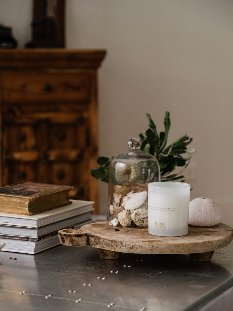 Styled coastal vignette with Sunshine candle, coral, sea urchin shell and vintage books — a quiet celebration of ocean treasures and sunlit days.